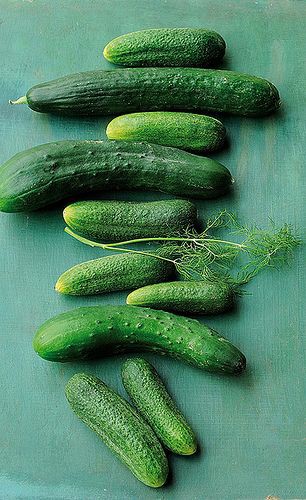 کود کلسیم، نیترات کلسیم، خرید نیترات کلسیم، قیمت نیترات کلسیم